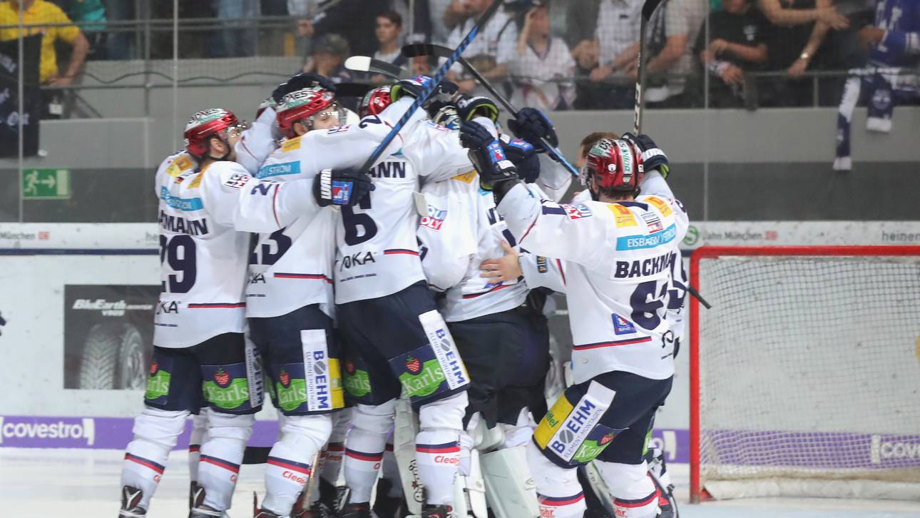 Wild Wings mit Revanche in Berlin?