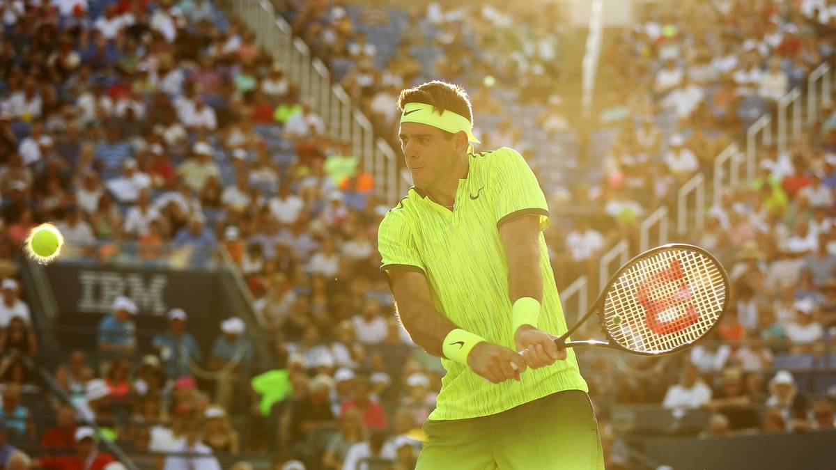 Bei den US Open erreicht er als erster Spieler seit James Blake 2005 als Wildcard-Teilnehmer das Viertelfinale. Wenig später führt er Argentinien zum ersten Gesamtsieg im Davis Cup und gewinnt in Stockholm sein erstes Turnier nach fast drei Jahren, was ihn in der Weltrangliste zurück in die Top 50 bringt