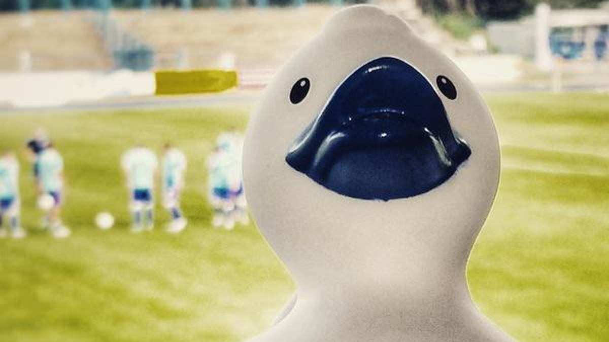 Bei Hertha BSC wird das Treiben der Spieler von der Tribüne aus kritisch beobachtet