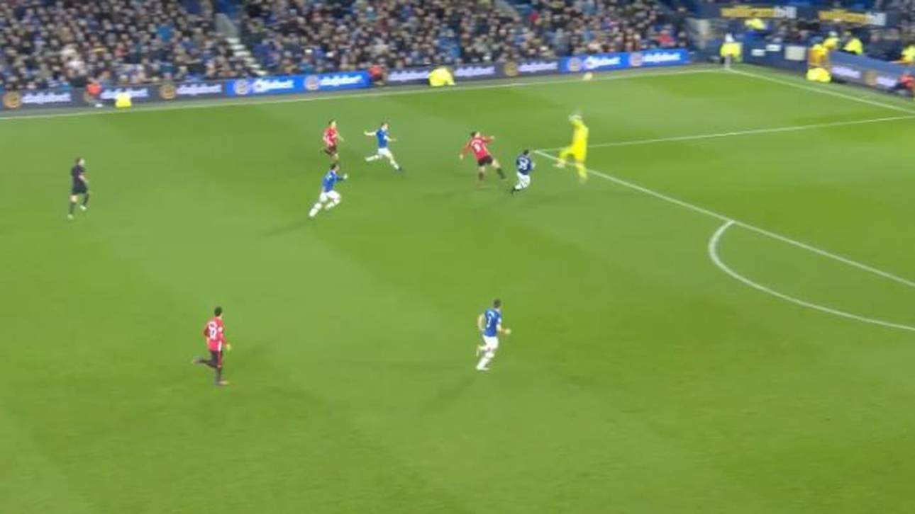 Ibrahimovic-Traumtor im Video