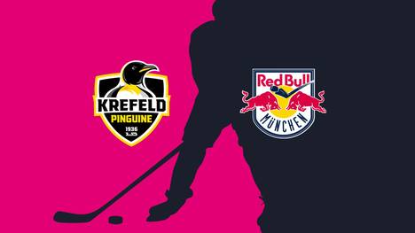 Kölner Haie - EHC Red Bull München: Tore und Highlights | PENNY DEL