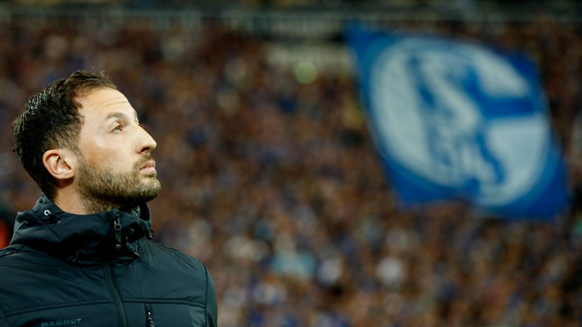Domenico Tedesco und sein FC Schalke 04 könnten mit einem Sieg die Champions League schon fix buchen - aber es geht schlecht los für die Knappen gegen Borussia Mönchengladbach