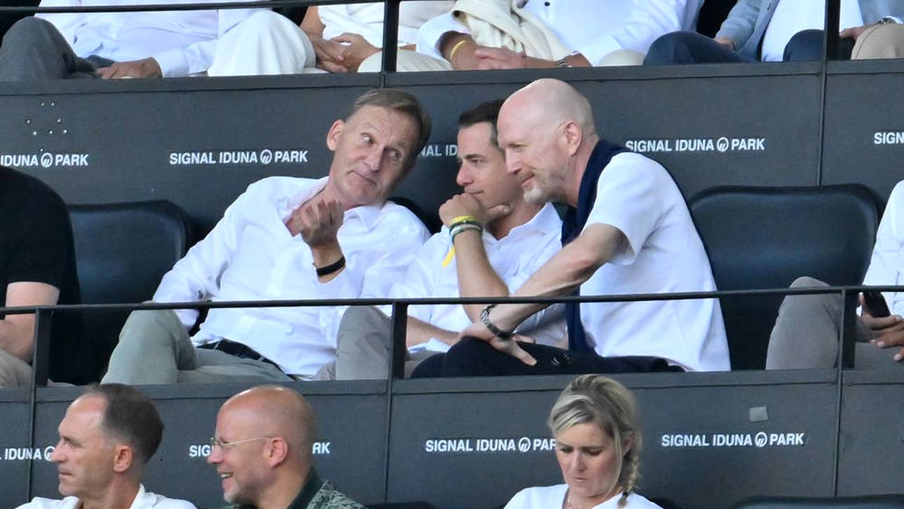 BVB-Boss lüftet Tribünen-Geheimnis