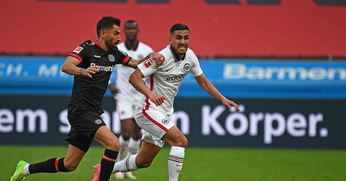 чемпионат германии – айнтрахт. арминия боруссия м 2020. реал айнтрахт 2022. чемпионат германии чемпионы. байер леверкузен.