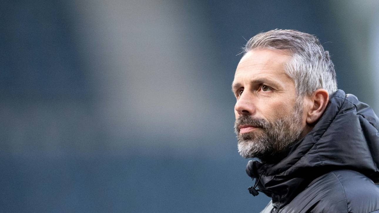 Von Marsch bis Favre: Sieben Trainer-Kandidaten für Gladbach