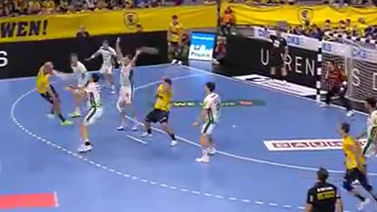 Rhein-Neckar Löwen - SC DHfK Leipzig | HBL-Highlights im Video