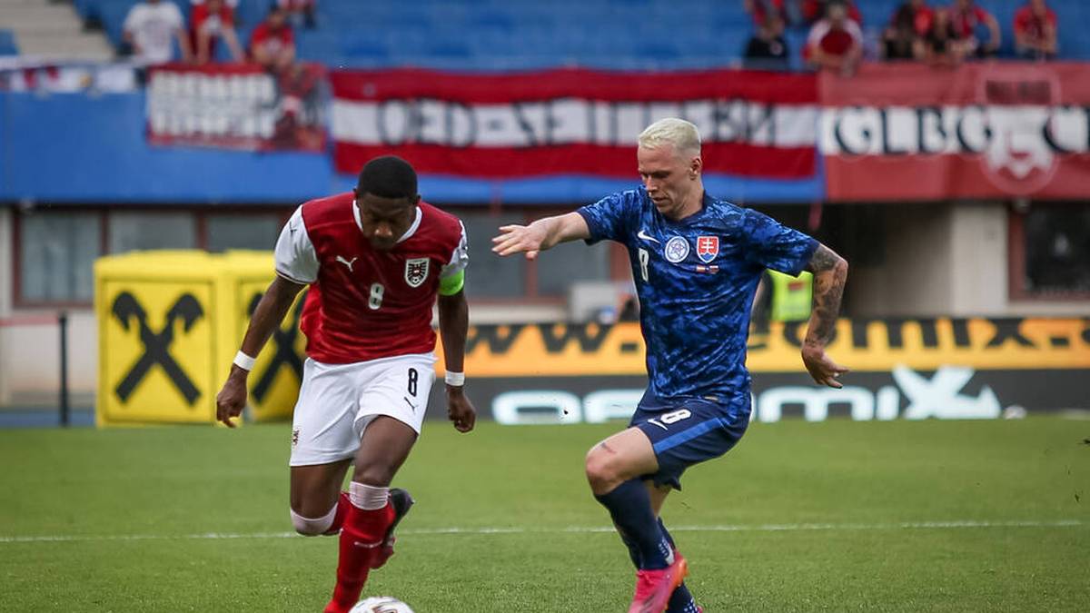 Die Slowakei spielt zuhause im modern-gefleckten, blauen Muster.