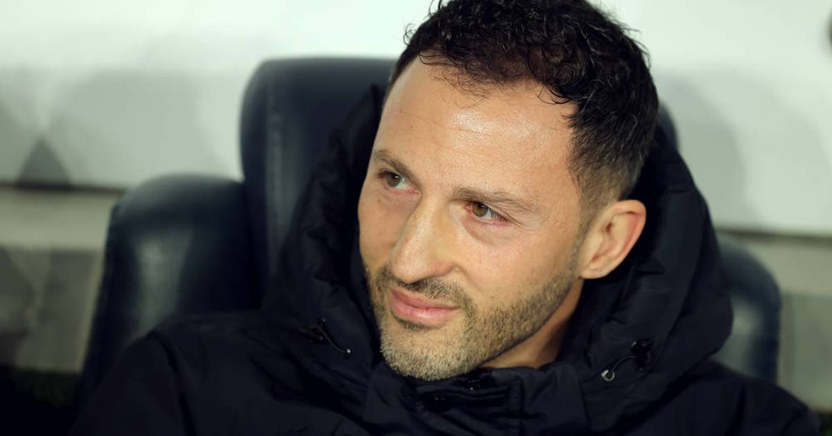 Domenico Tedesco winkt neuer Job