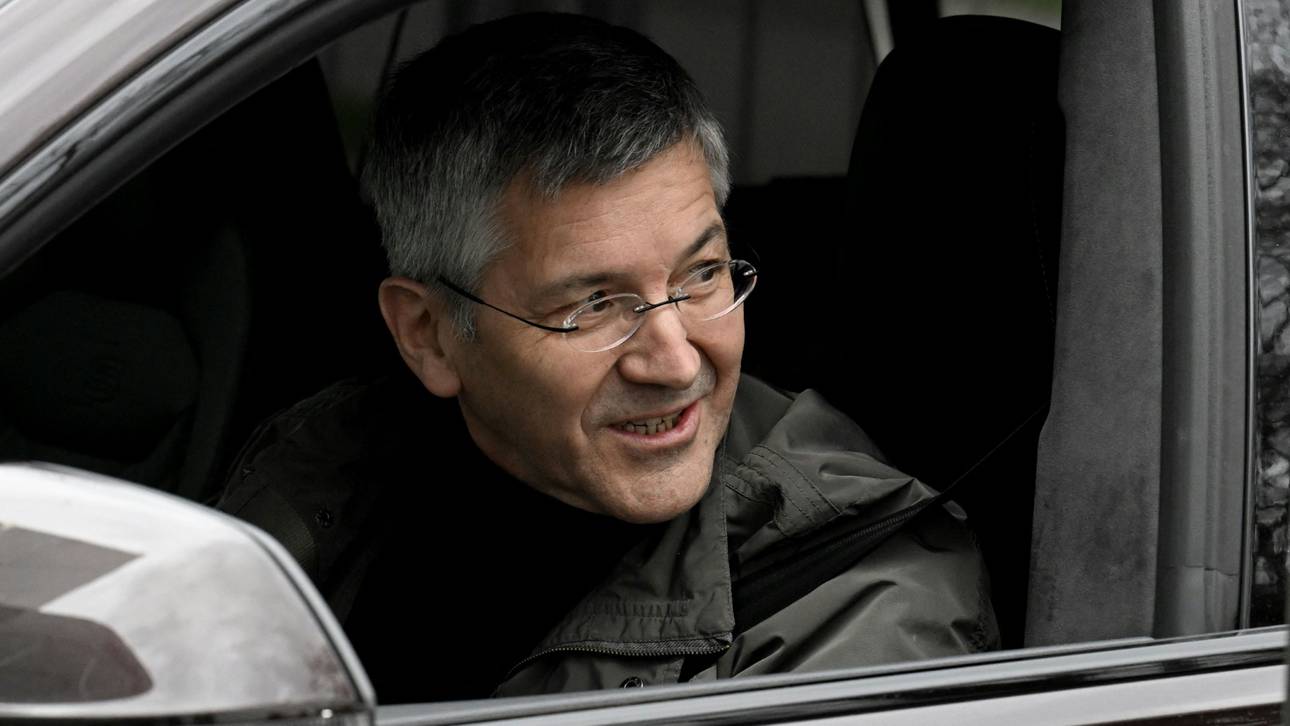 Die Alonso-Schwärmerei hört nicht auf