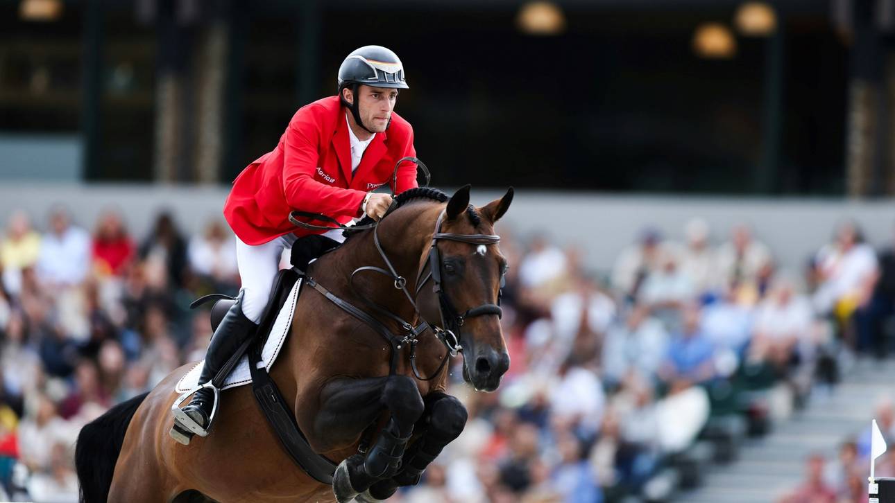 Vogel fliegt Richtung EM-Titel