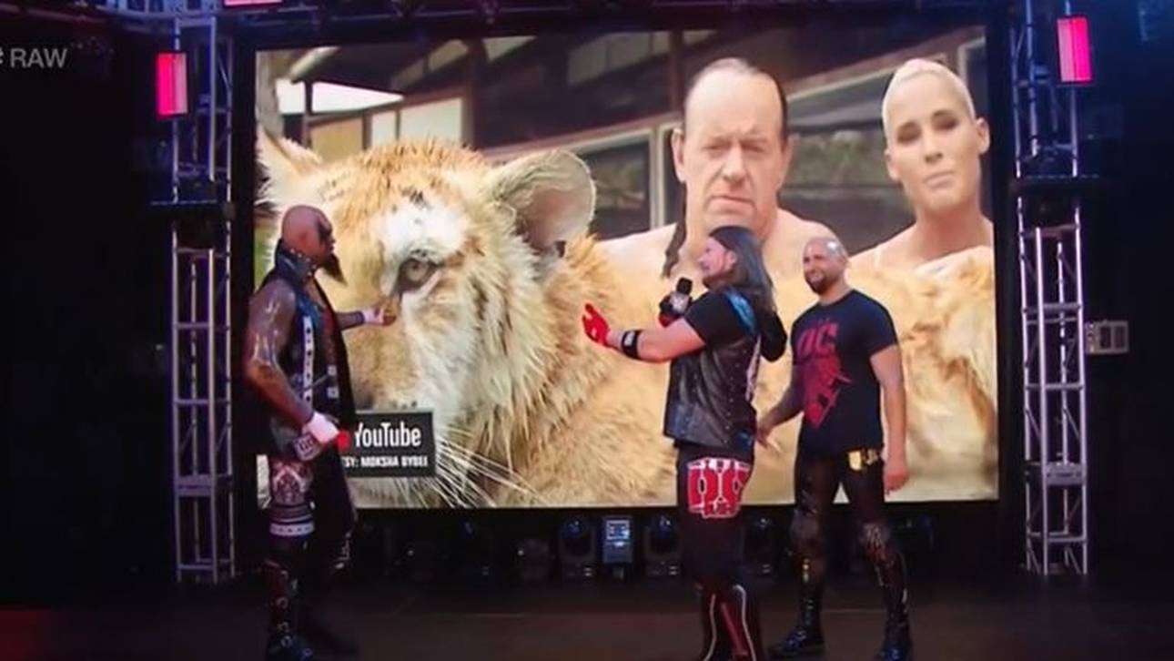 WWE: Undertaker in Mystery-Match