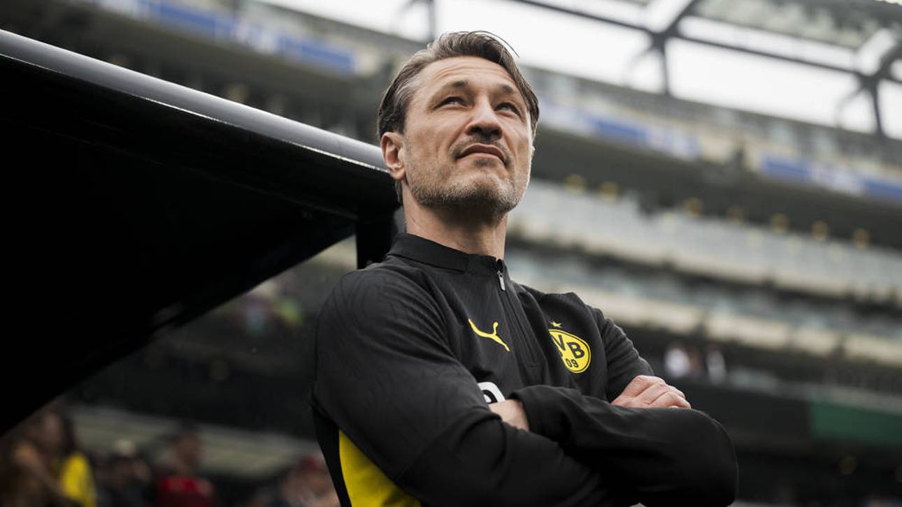 Bericht: Neuzugang für Kovacs Team