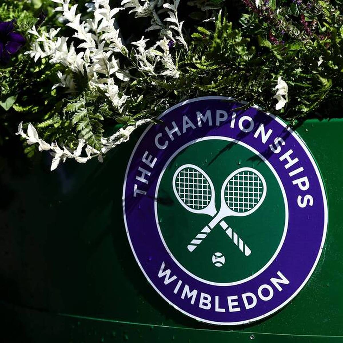 Tennis-Zoff! Wimbledon enttäuscht von WTA