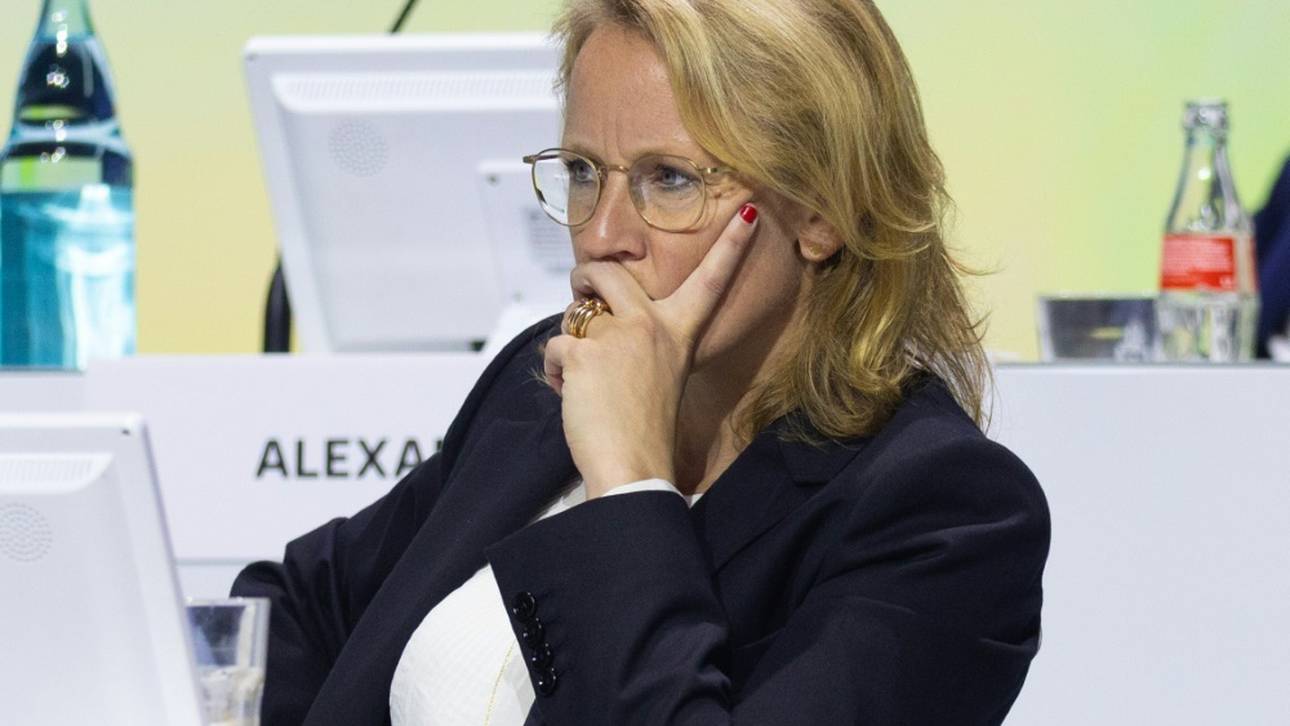 „Wilder Ritt“: Hopfen beklagt fehlenden Rückhalt in DFL