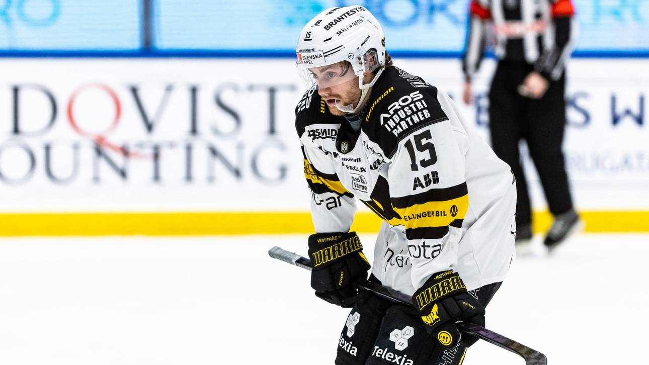 Grizzlys holen Kanadier Hayhurst