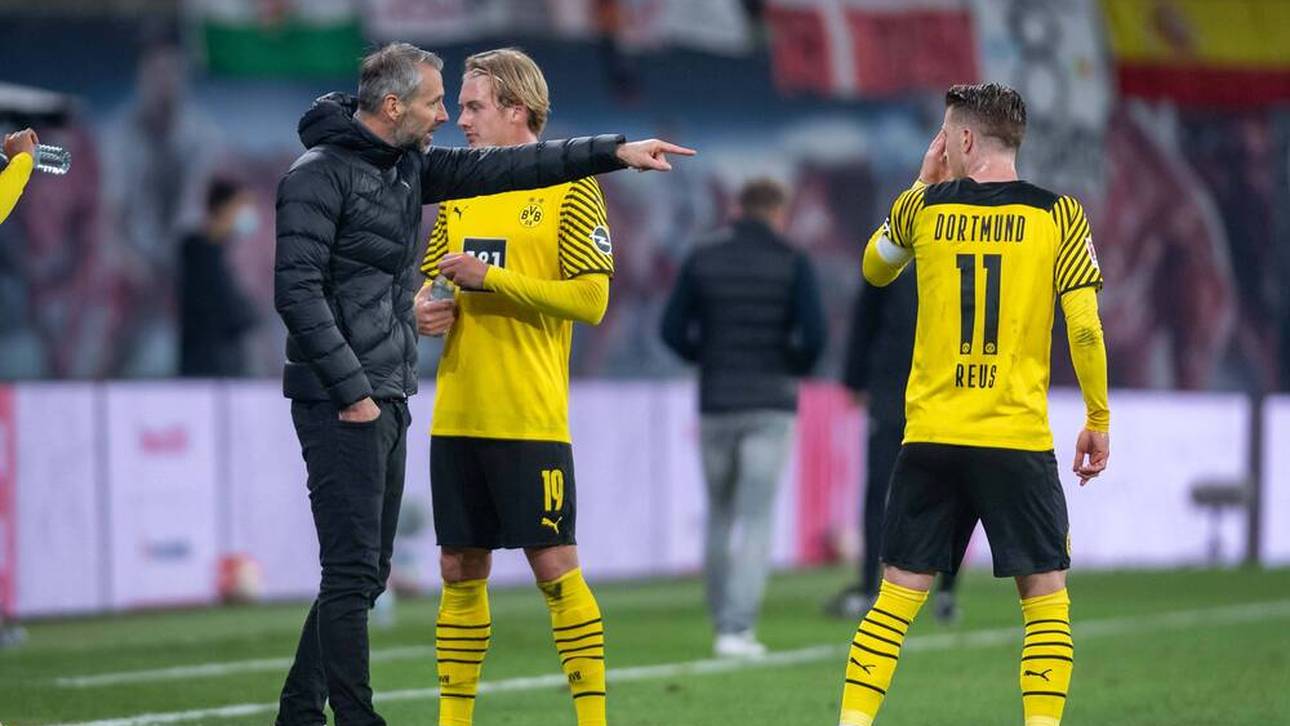 Rose im Reus-Dilemma