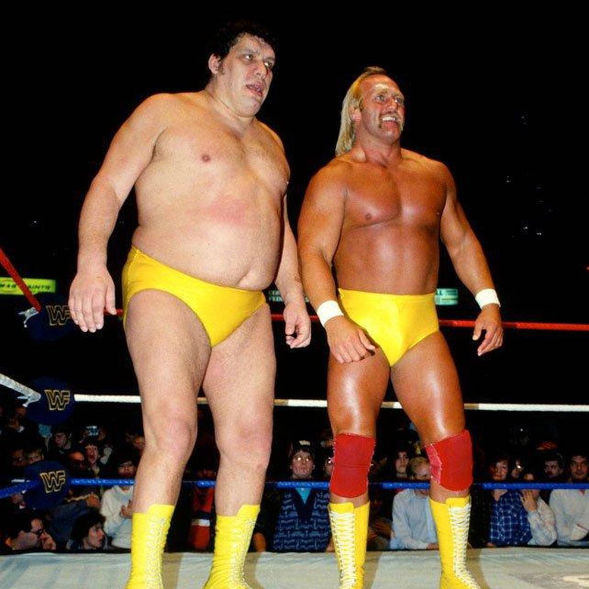 André the Giant war der berühmteste Gegner Hulk Hogans, Filmstar und als Feierbiest und Trinker berühmt-berüchtigt. Sein prall gefülltes Leben endete früh.