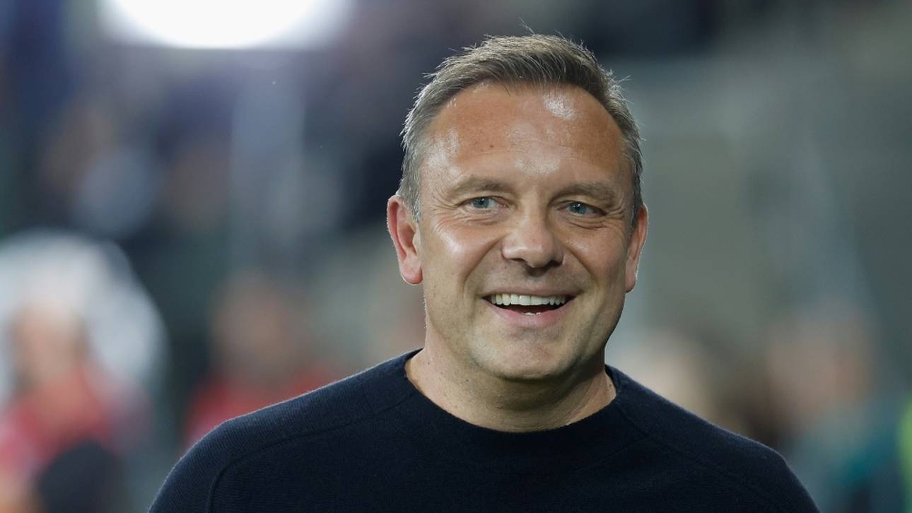 Breitenreiter: „Sind an die Grenzen gegangen“