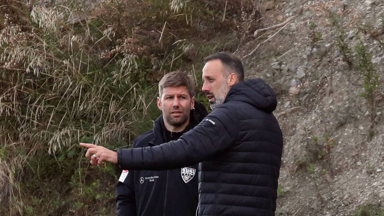 Hitzlsperger erstickt Trainerkritik