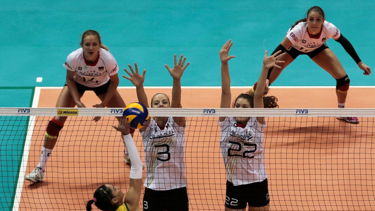 Vier Tests für Schmetterlinge