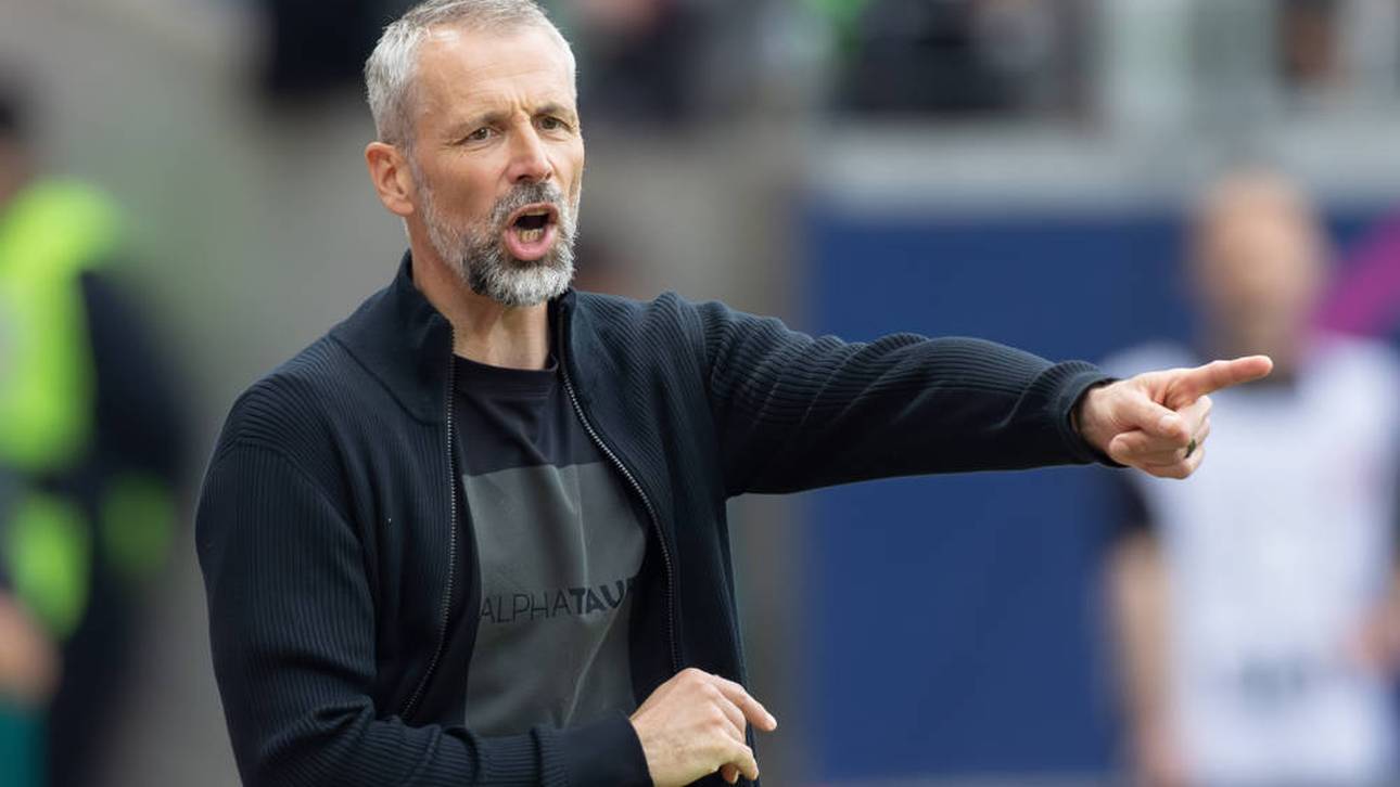 Rose-Entscheidung gefallen!