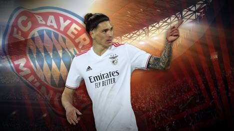 Darwin Nunez ist einer der begehrtesten Stürmer der Welt. Aktuell soll der FC Liverpool in der Pole Position sein, was eine Verpflichtung angeht. Warum bietet der FC Bayern München nicht mit?