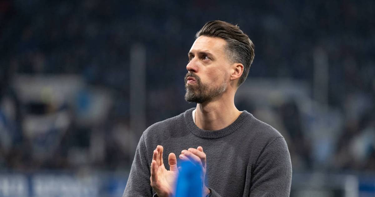 Sandro Wagner's departure is official! Familiar face takes over