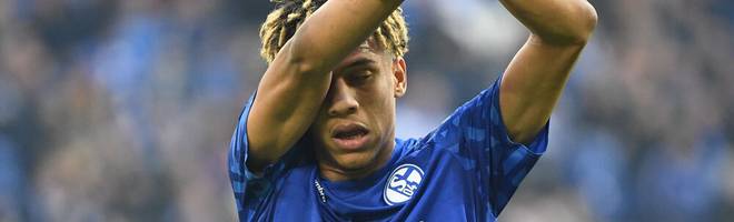 Fussball / Bundesliga