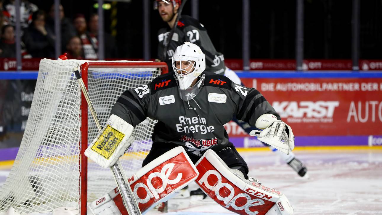 Haie trennen sich von sieben Profis