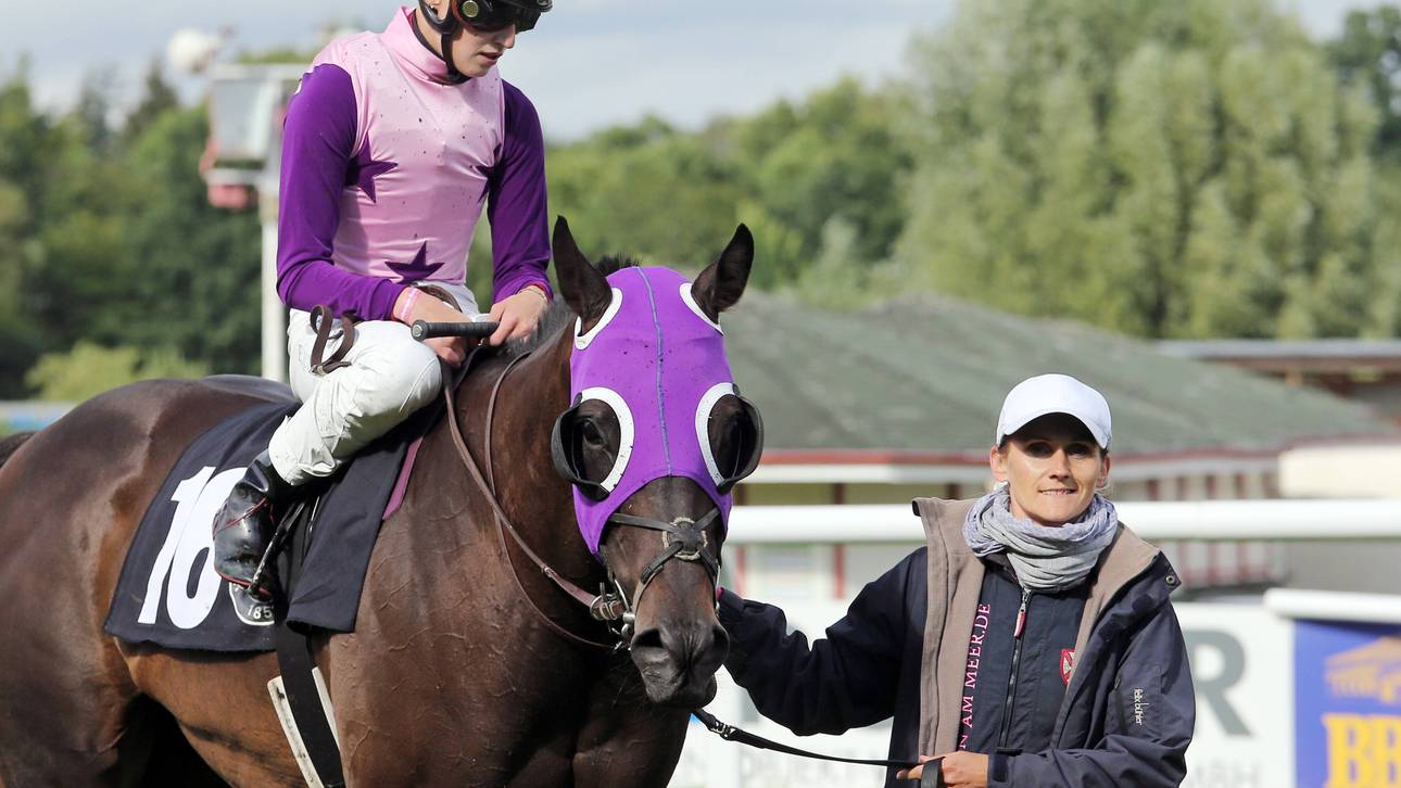 Sticht Killerbiene wieder zu?