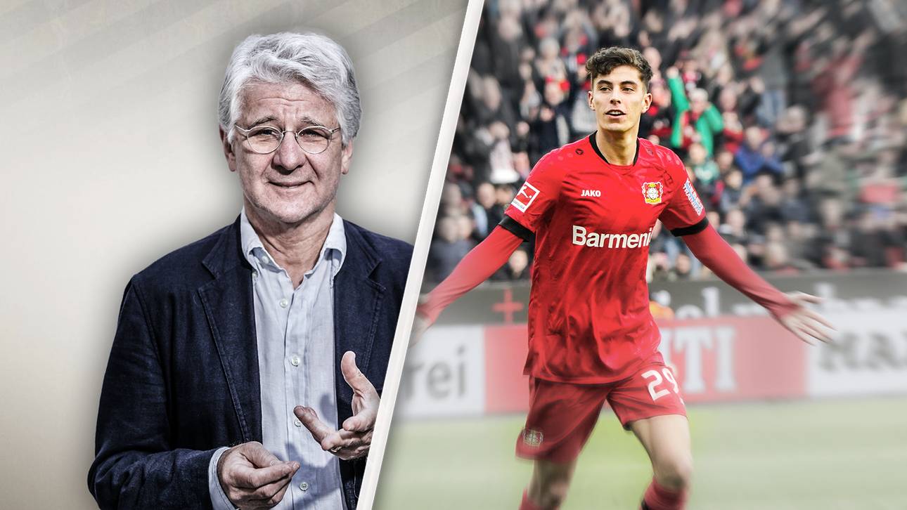 Reif über Bayerns Havertz-Pläne