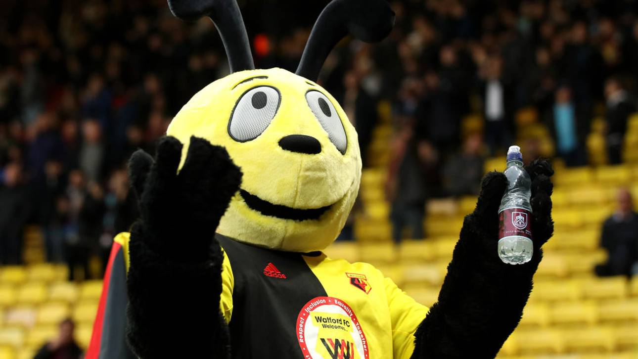 Kippen Proteste den England-Start?