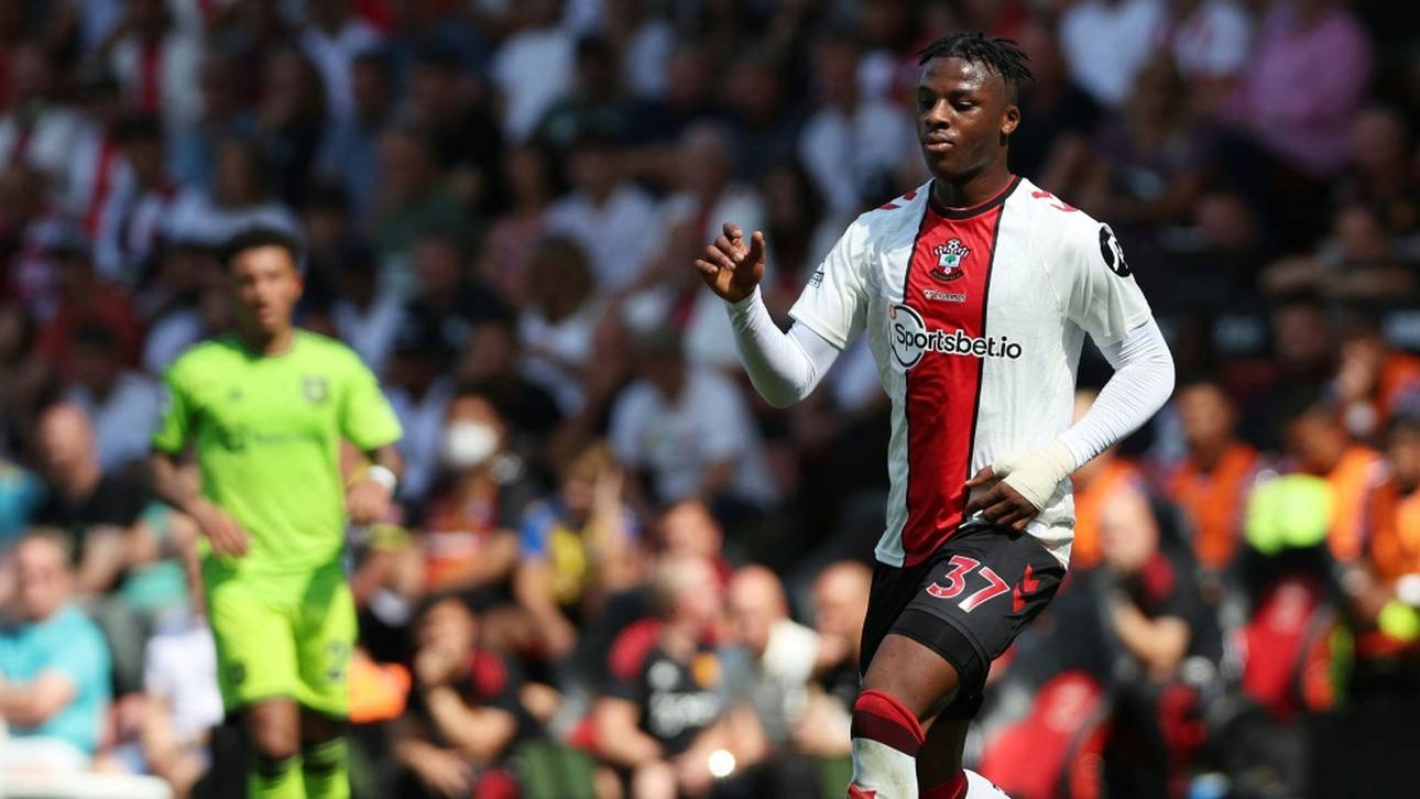 Flick holt Neuling Bella Kotchap