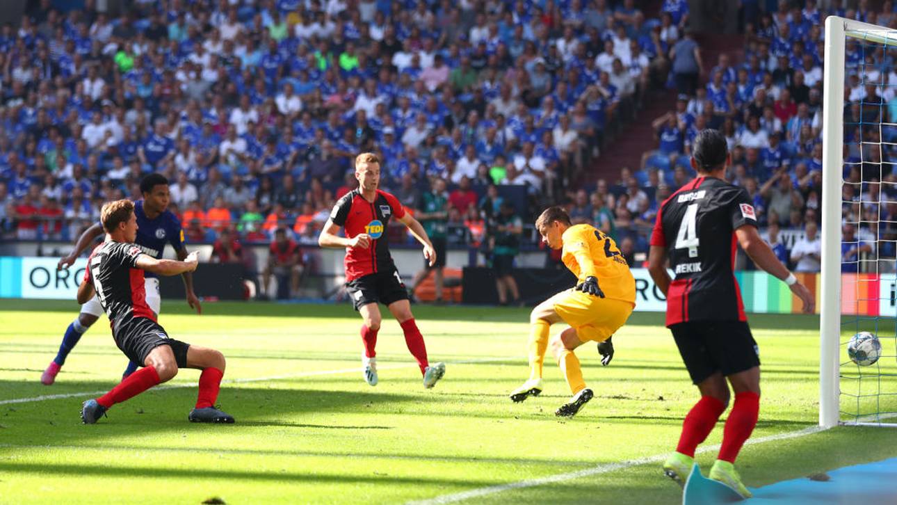 Schalke jubelt: „Haben es erzwungen“