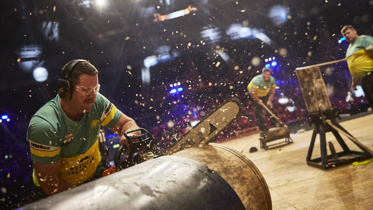 Wer wird König der Holzfäller?