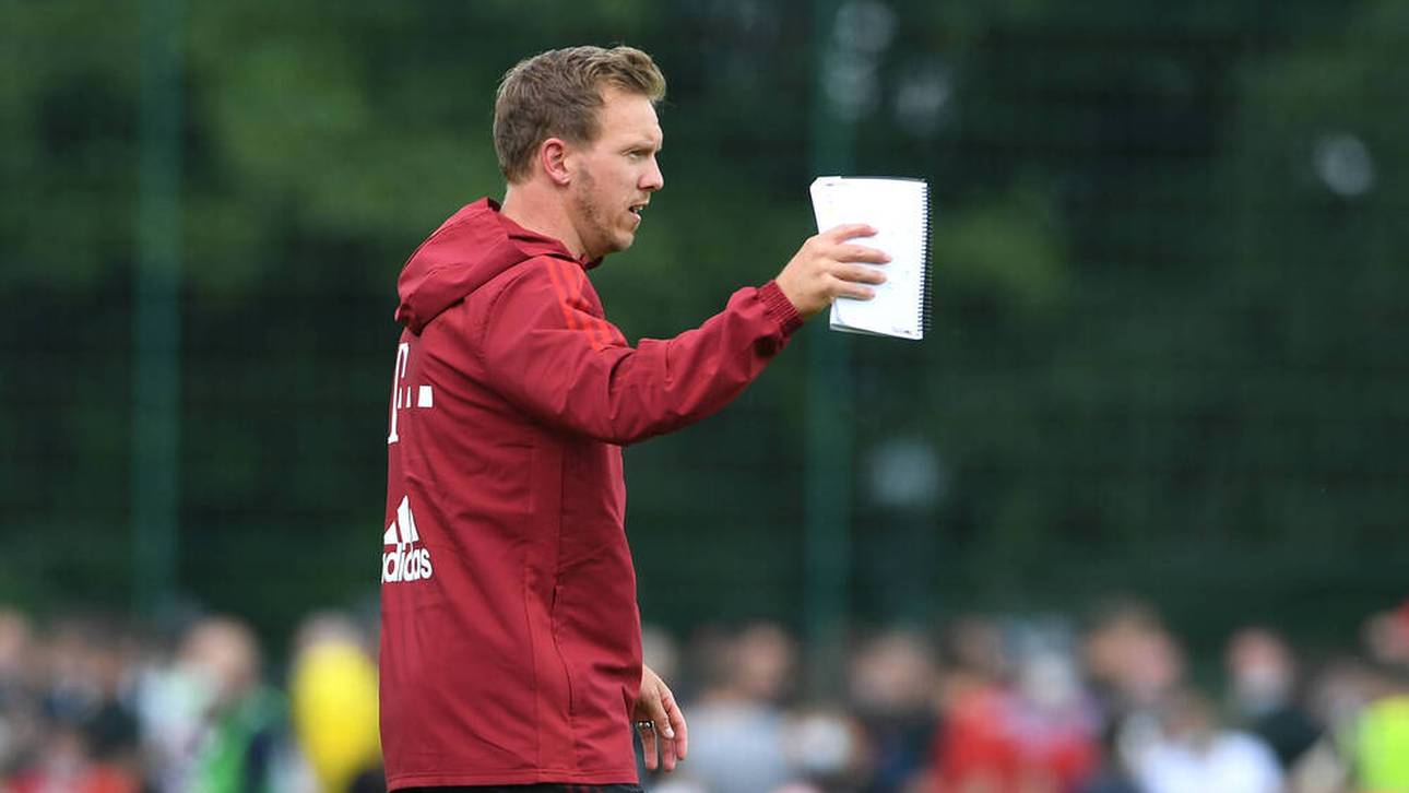 Ibrahimovic trainiert bei Nagelsmann