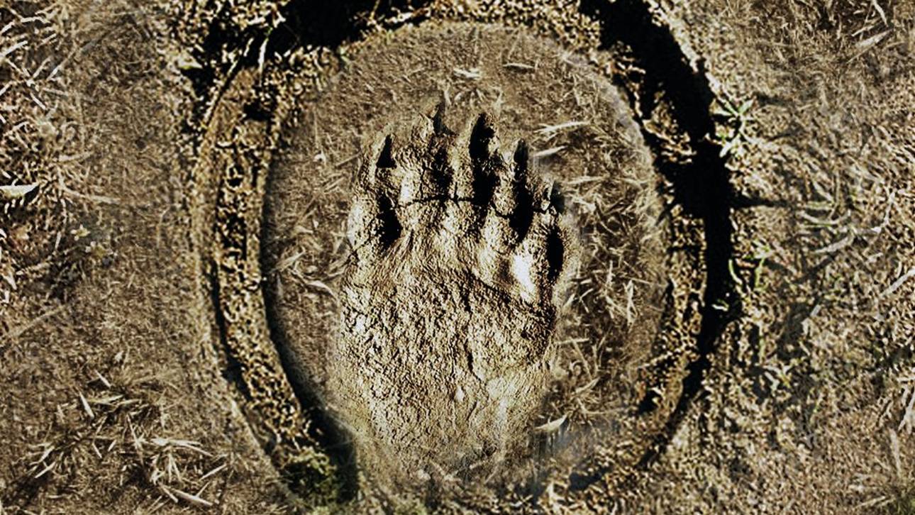 Prime League: Spieltag #15