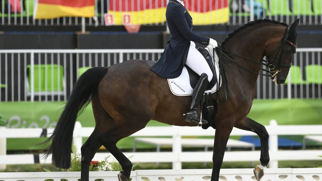 Rückschlag für Dressur-Equipe: Ohne Schneider und Showtime