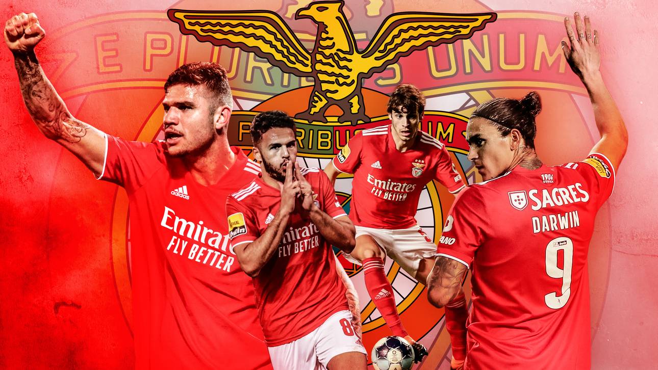 Dieses Quartett umwirbt Fußball-Europa