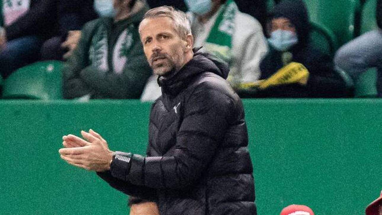 Wie fest sitzt Rose noch im Sattel?