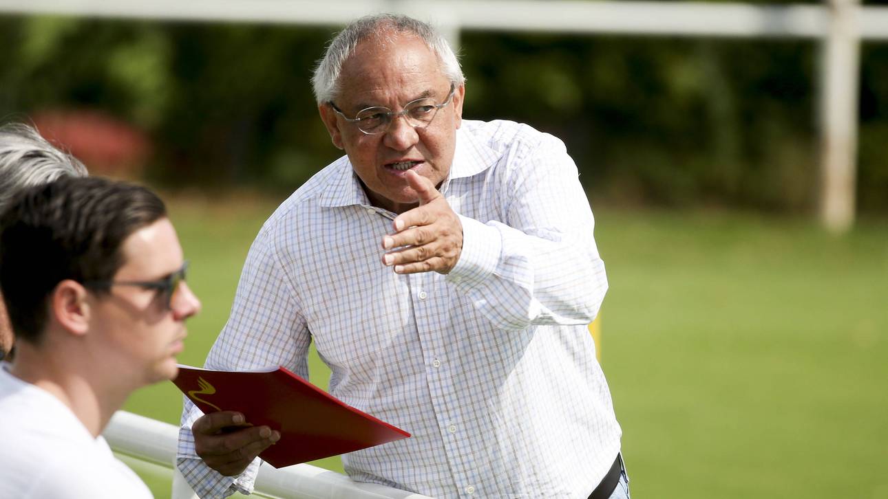 Magath: „Hrubesch nur als Alibi“