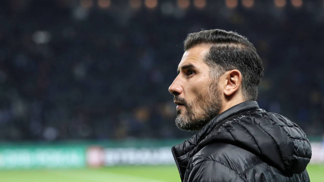 Dynamo-Trainer Fiel entlassen