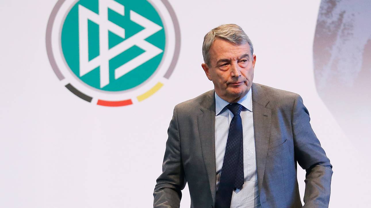 Niersbach von Kanzlei befragt
