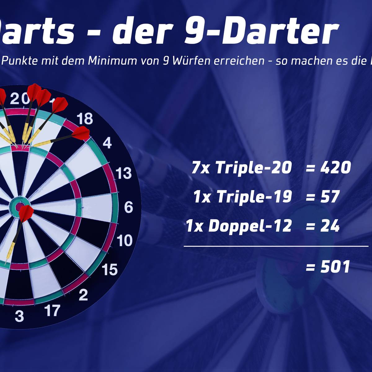 501 9 darts