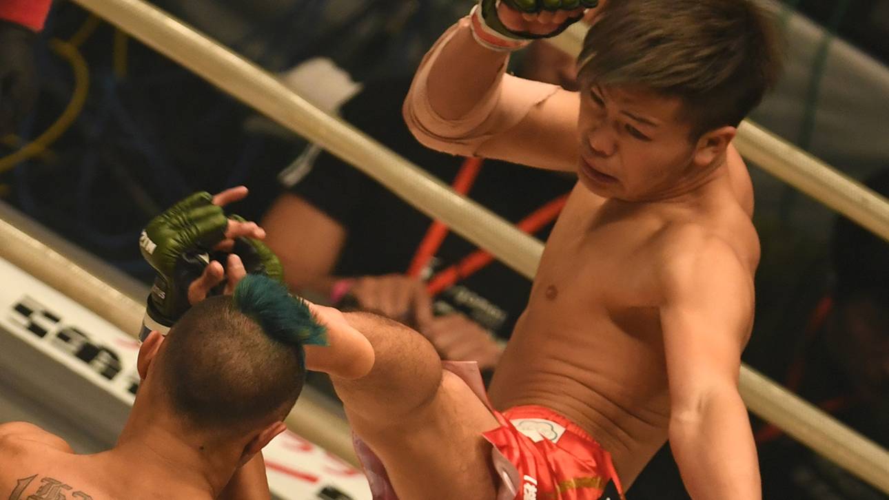 K.o.-Maschine fordert Mayweather