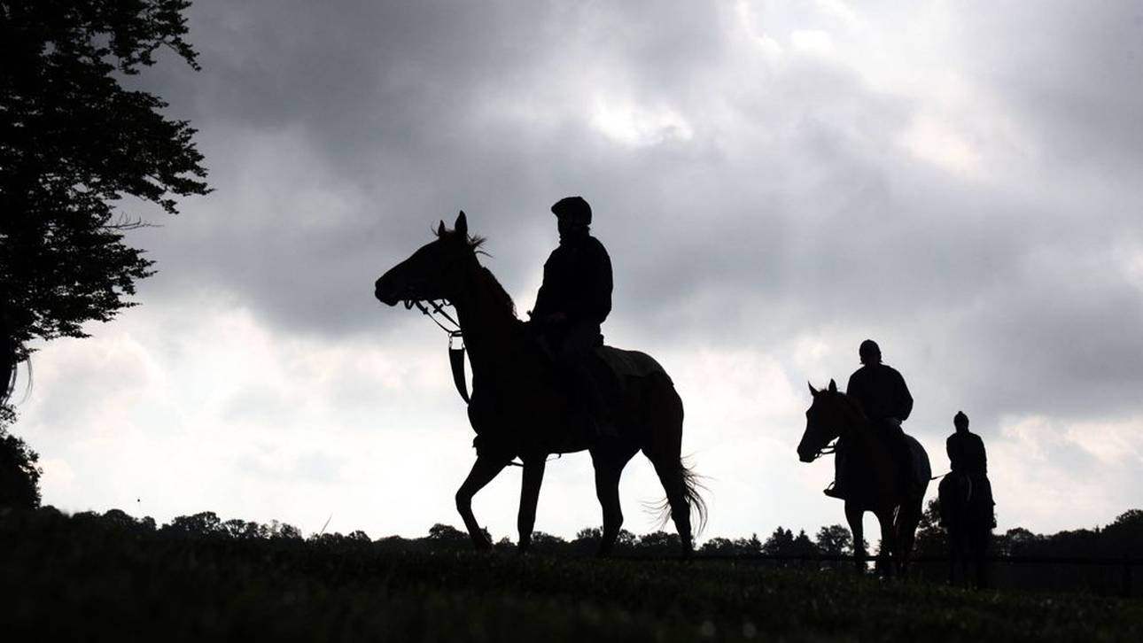 Todesfall schockt deutschen Reitsport