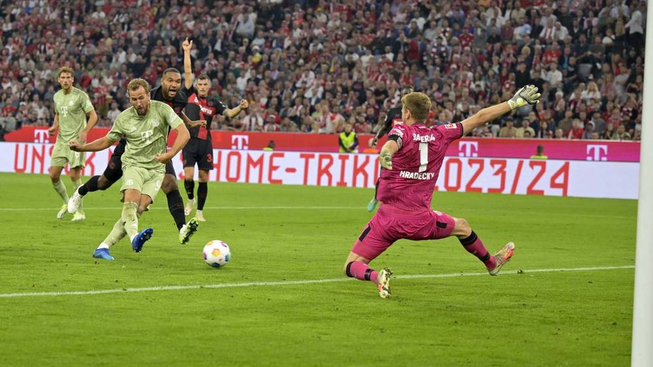 Hradecky lässt Fans ausrasten