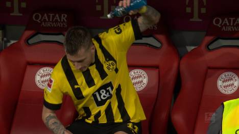 Nationalspieler Julian Brandt wünscht sich eine Vertragsverlängerung des Fußball-Bundesligisten Borussia Dortmund mit Kapitän Marco Reus.