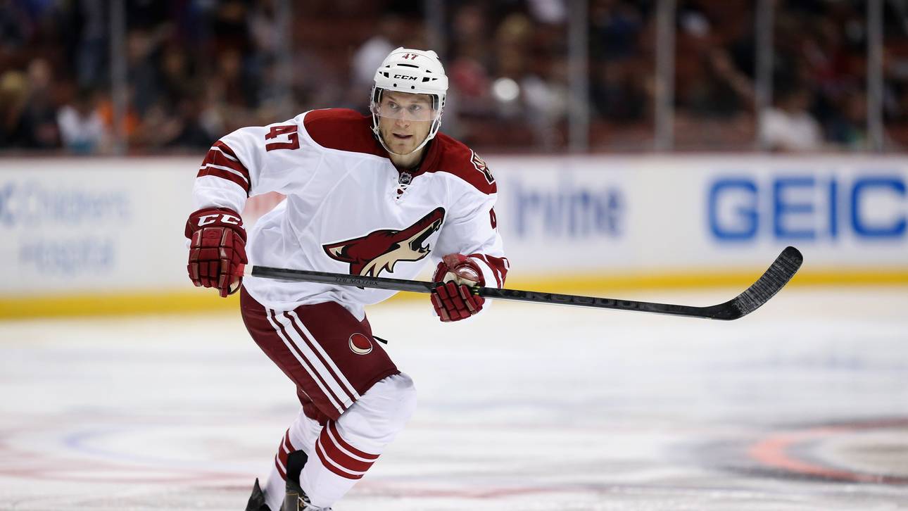 Panther holen Verteidiger Oberg