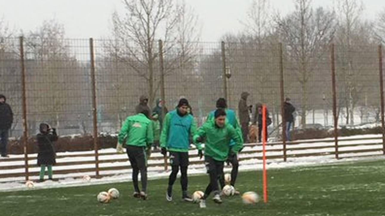 Junuzovic trägt Werders Hoffnungen